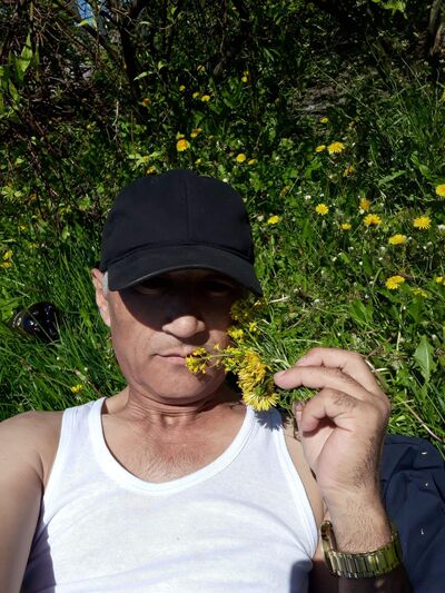  ,   , 53 ,   ,   