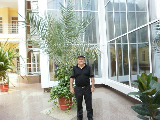  ,   , 66 ,   ,   , c 