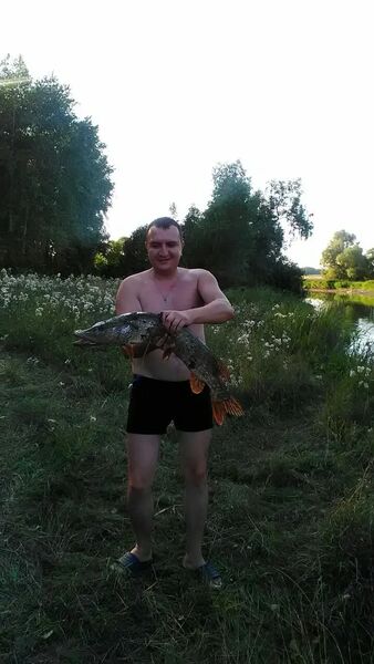  ,    , 40 ,   ,   