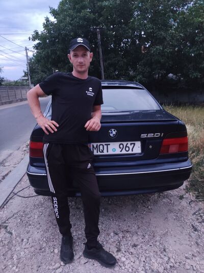  ,   Slavic, 40 ,   ,   