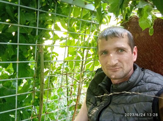  ,   Felix, 43 ,   ,   , c 