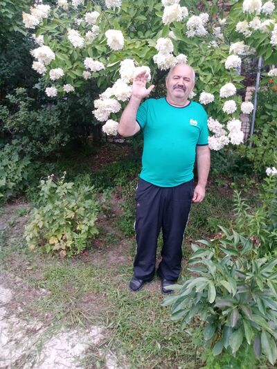  ,   , 66 ,   c 