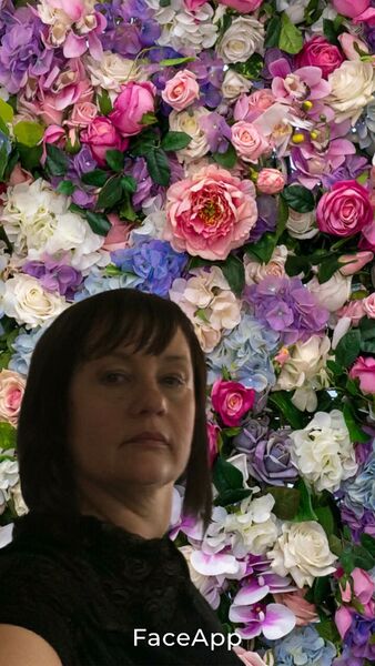  ,   , 52 ,   ,   
