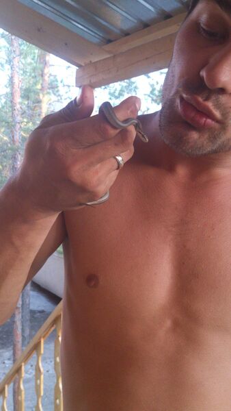  -,   , 36 ,   ,   , c 