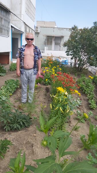  ,   , 62 ,   ,   