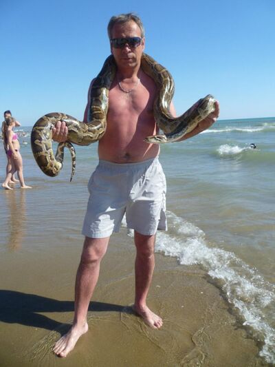  ,   Calavat, 59 ,   