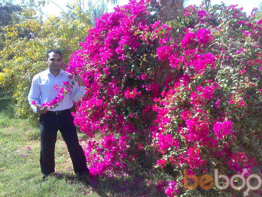  ,   Kapo, 44 ,   ,   , c 