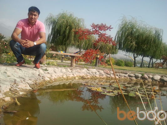  3749940  Bakyt, 38 ,    