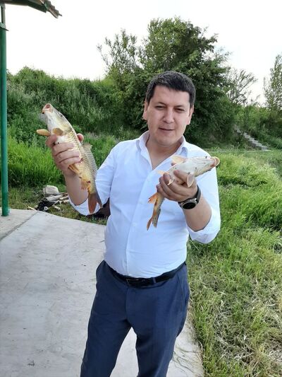  ,   Kozim, 33 ,   ,   , c 