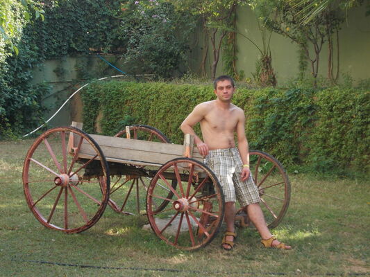  ,   Motik, 41 ,   