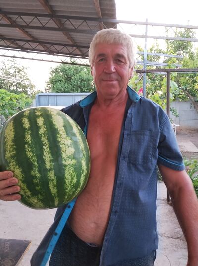  ,   , 65 ,   ,   