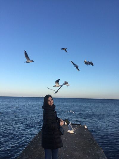  ,   , 33 ,   ,   , c , 