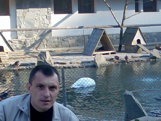  ,   , 46 ,     , c 
