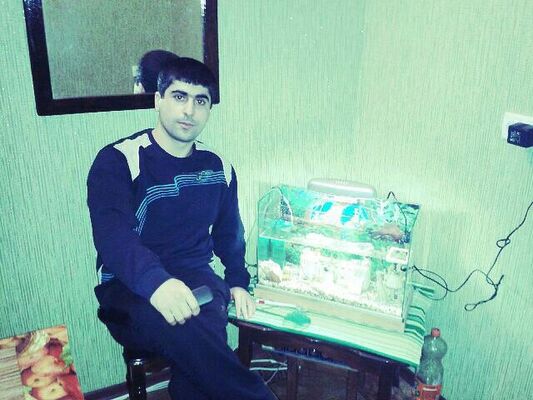 ���������� ������, ���� ������� ������, 37 ���, ������������ ��� ������, ����� � ���������