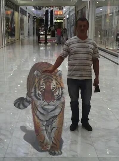  ,   , 51 ,   