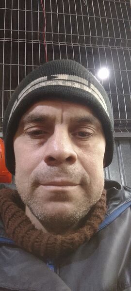  ,   , 46 ,   , 