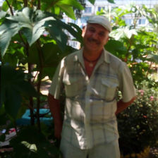  ,   ARey, 56 ,  