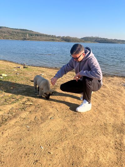  ,   Emre, 20 ,   ,   