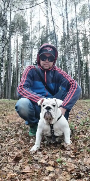   ,   Sirop, 45 ,     , c 