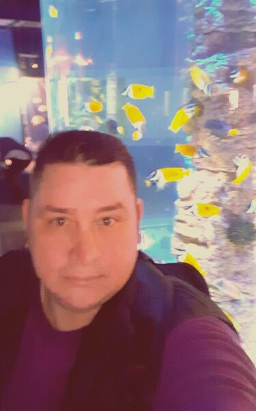  -,   , 49 ,   ,   , c , 