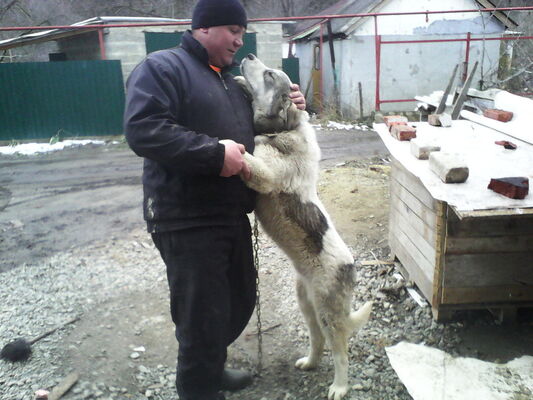  ,   Sergei, 50 ,   