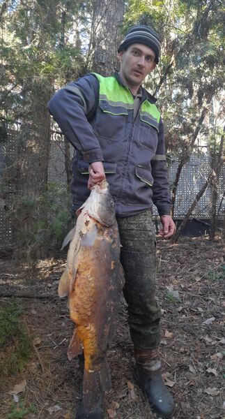 ,   Alexander, 33 ,   ,   