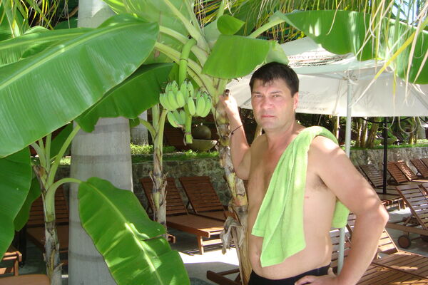  ,   Aa, 52 ,     , c 