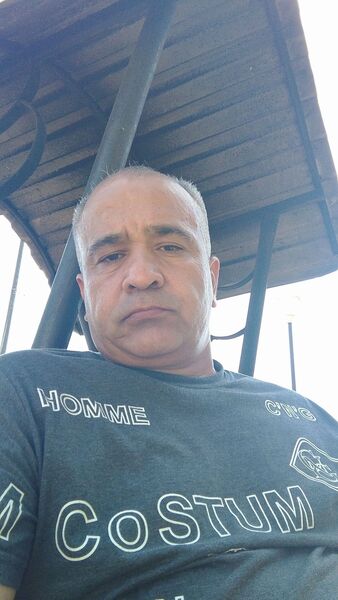  -,   , 43 ,   ,   