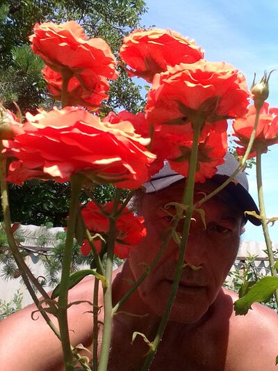  ,   Mehmet, 59 ,   ,   