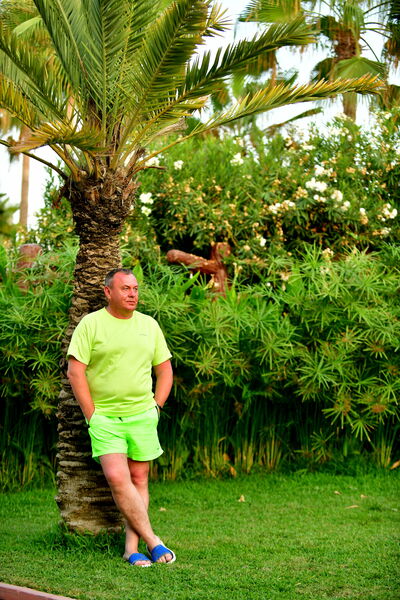  ,   , 53 ,   ,   , c , 