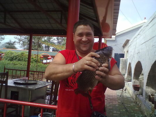  ,   , 51 ,   