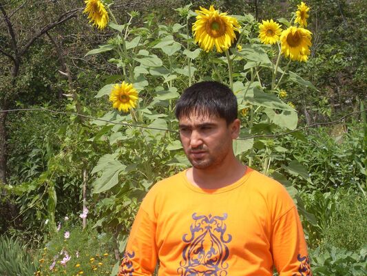  ,   , 43 ,   ,   