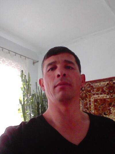  ,   , 46 ,     , 