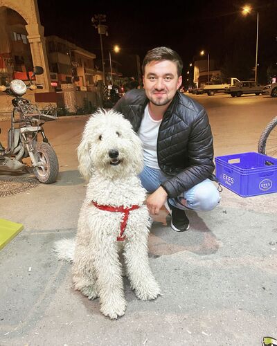  ,   Zeybek, 35 ,   ,   