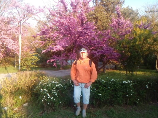  ,   , 50 ,   ,   , c , 