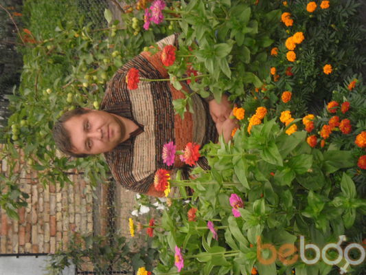  ,   , 97 ,  