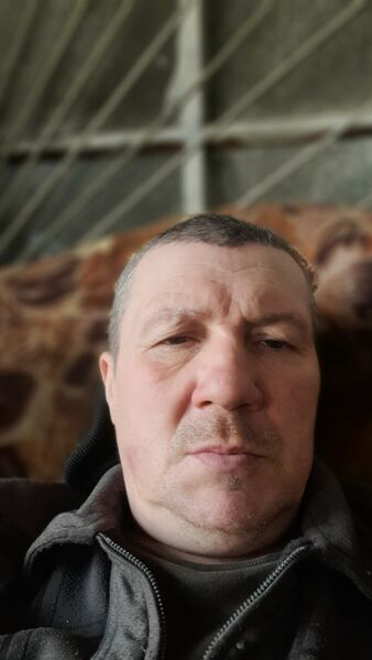   ,   , 52 ,   ,   