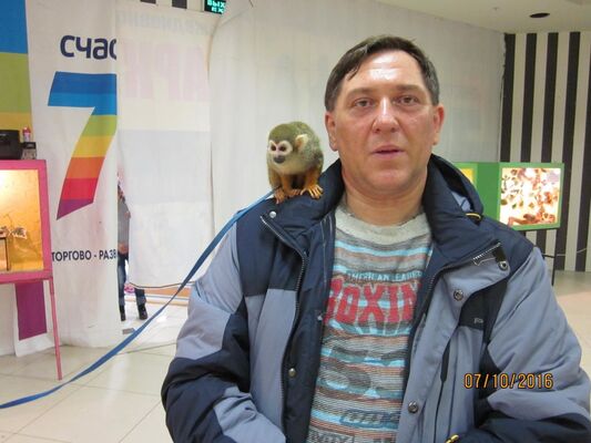  ,   , 51 ,   ,   , c , 