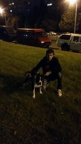  ,   David, 29 ,   ,   , c 