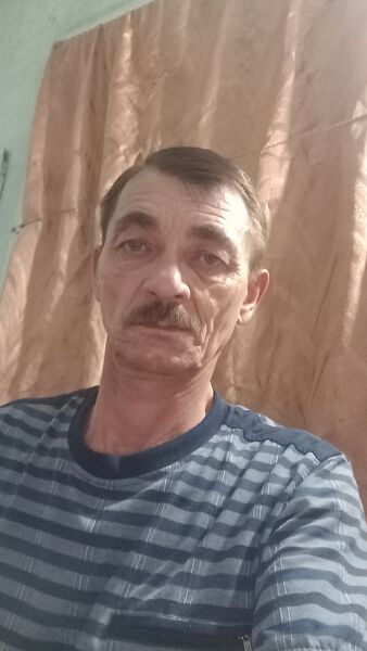  -,   , 55 ,   ,   