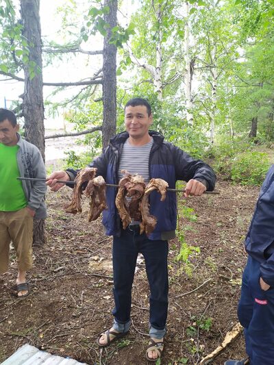  ,   , 43 ,   ,   , c , 