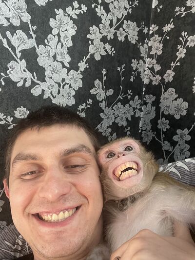  ,   , 33 ,   ,   , 