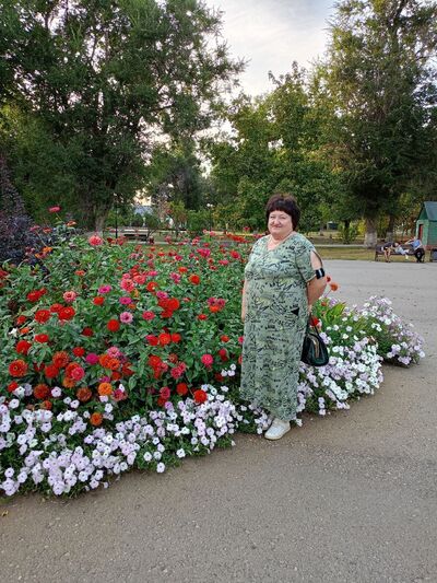  ,   , 66 ,   ,   