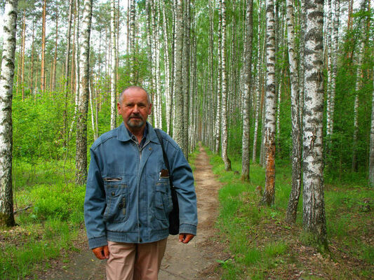   ,   DIMA, 72 ,     , c 