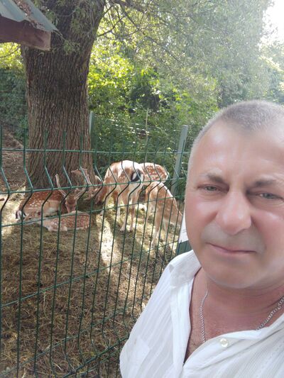  ,   , 51 ,   ,   , 