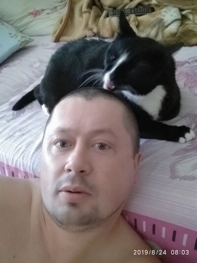  ,   , 41 ,   ,   , c 