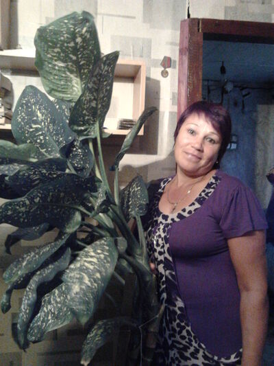  ,   , 62 ,   ,   