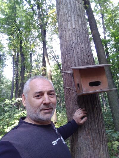  ,   KAREN, 56 ,     , c 