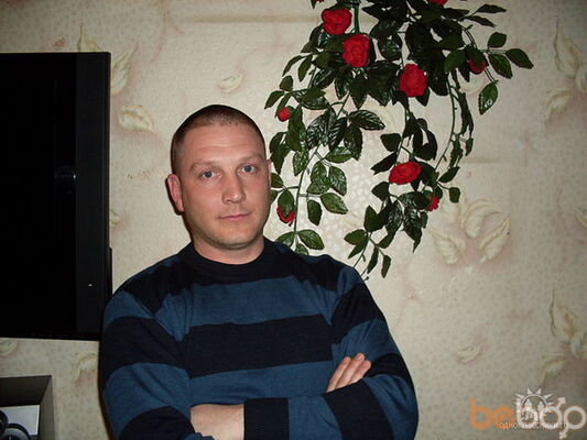  ,   Darknet, 46 ,  