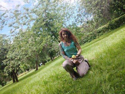  ,   Arenita, 31 ,   